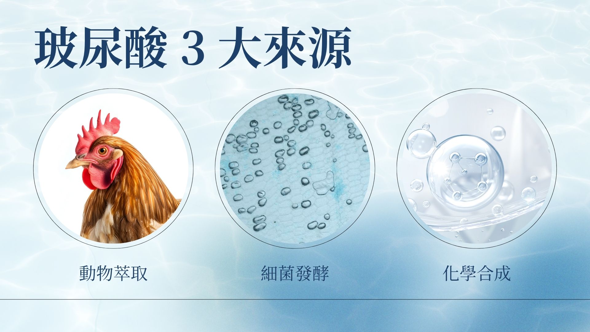玻尿酸的來源