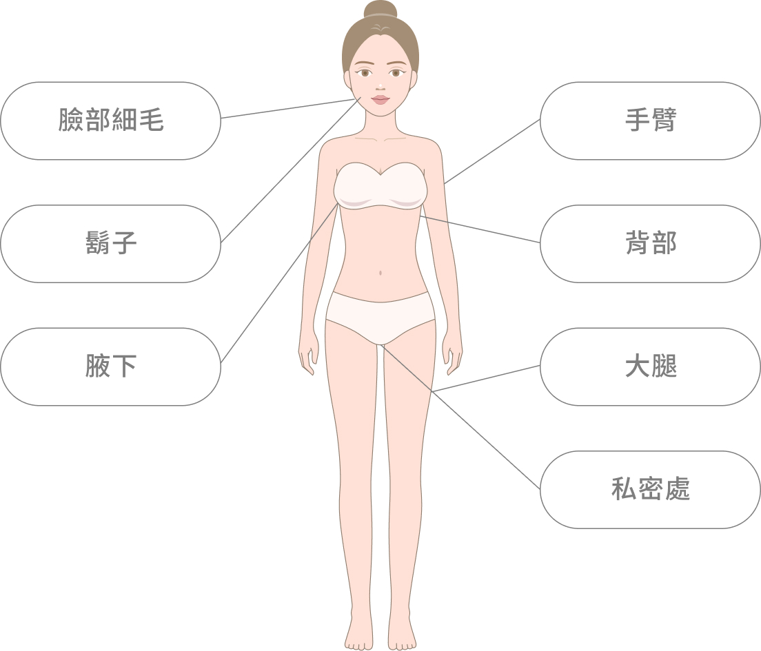 臉部細毛、手臂、鬍子、背部、腋下、大腿、私密處