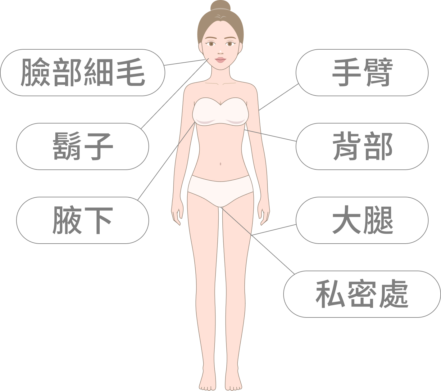 臉部細毛、手臂、鬍子、背部、腋下、大腿、私密處